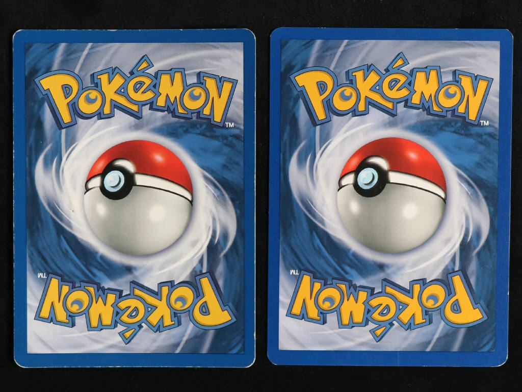 Lot 130 - POKEMON COMPANY (2)