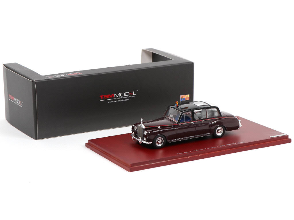Lot 74 - TSM MODELS (CHINE) (1)