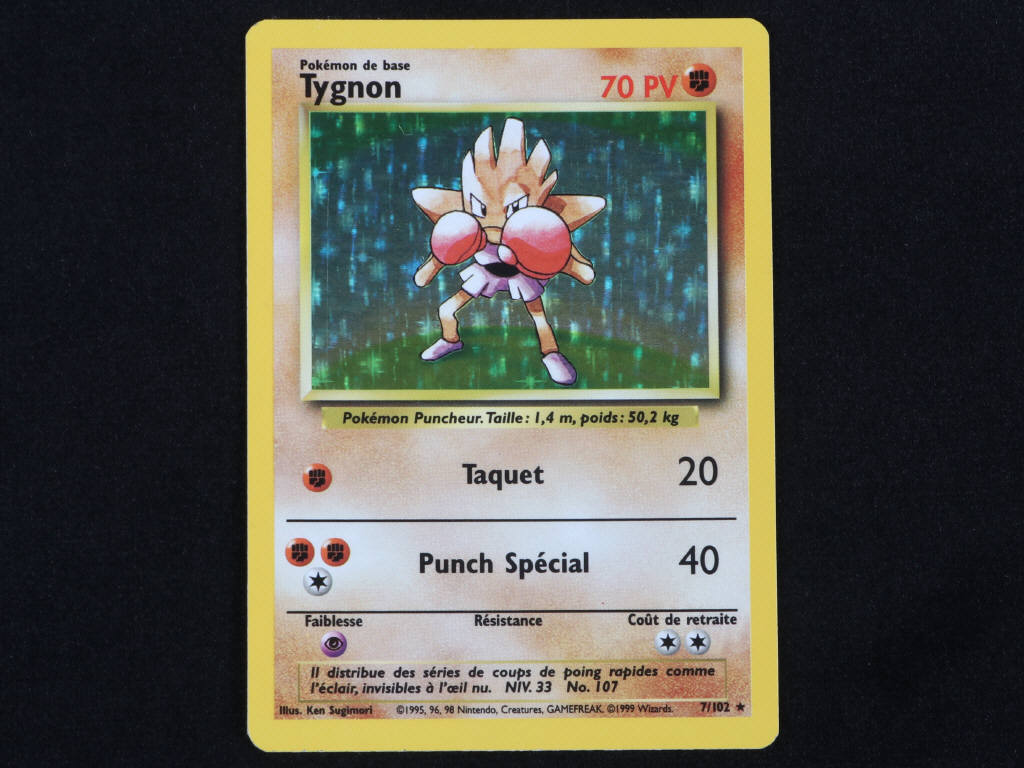 Lot 9 - POKEMON COMPANY (FRANCE) (1)
