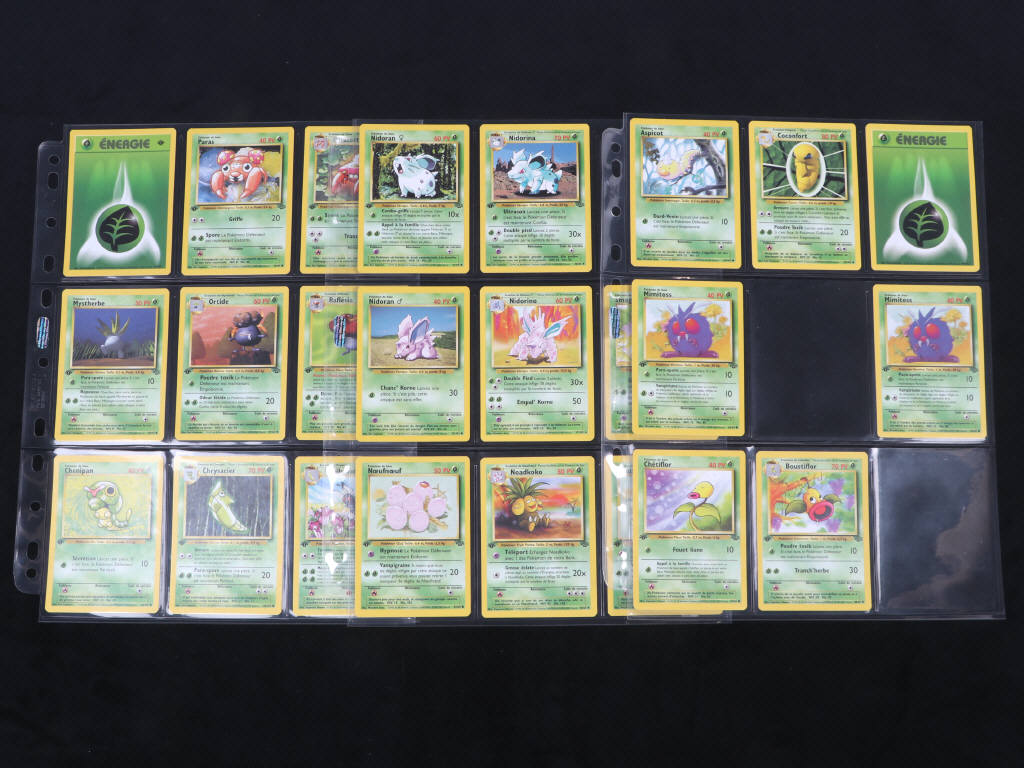 Lot 15 - POKEMON COMPANY (FRANCE) (24)