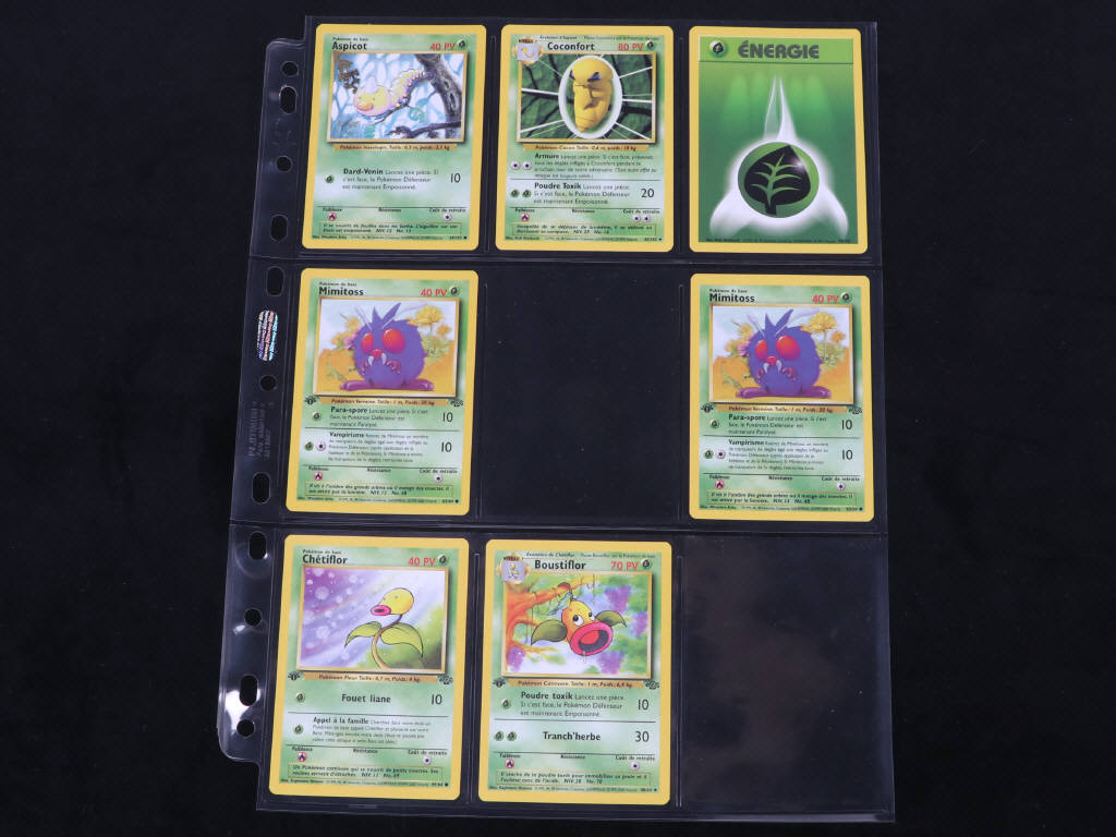 Lot 15 - POKEMON COMPANY (FRANCE) (24)