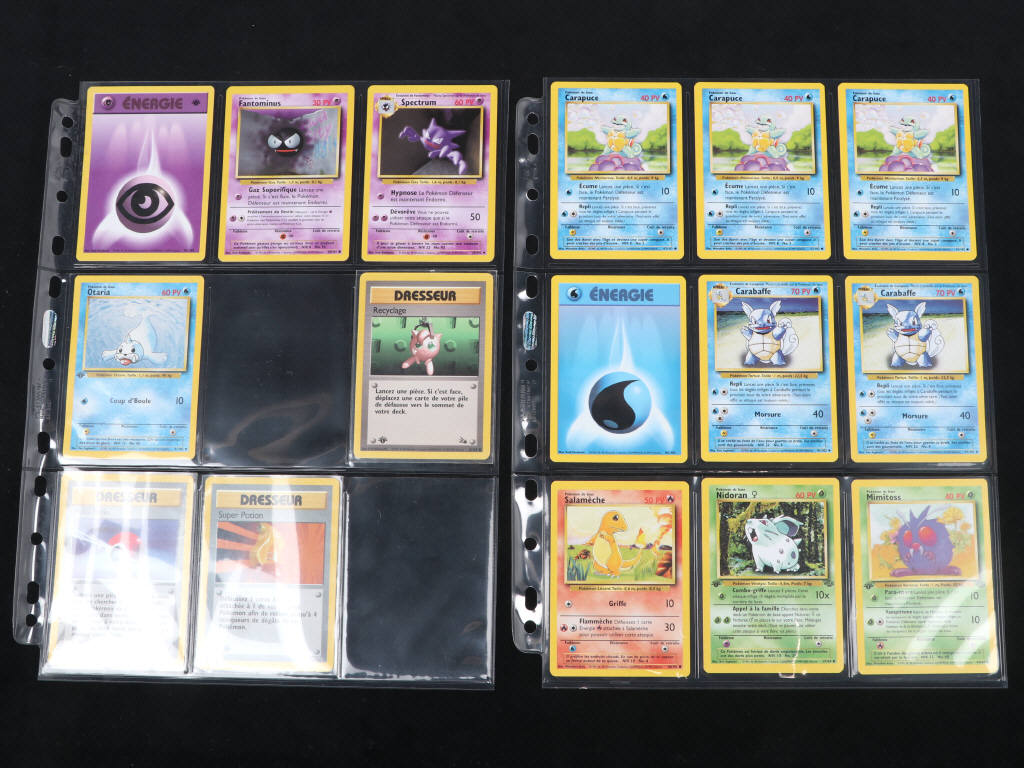 Lot 16 - POKEMON COMPANY (FRANCE) (25)