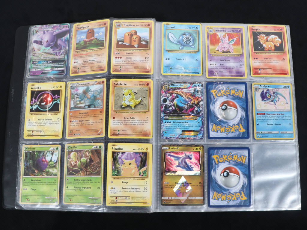 Lot 21 - POKEMON COMPANY (FRANCE) (1)