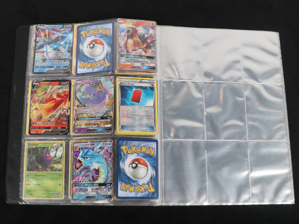 Lot 21 - POKEMON COMPANY (FRANCE) (1)