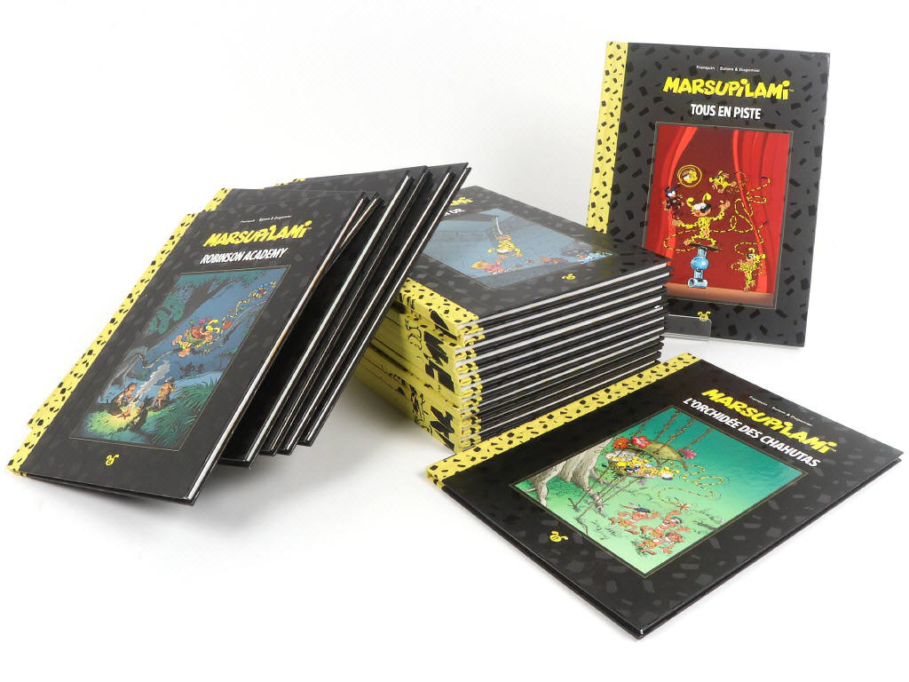 Lot 38 - EDITIONS HACHETTE (FRANCE) (20)