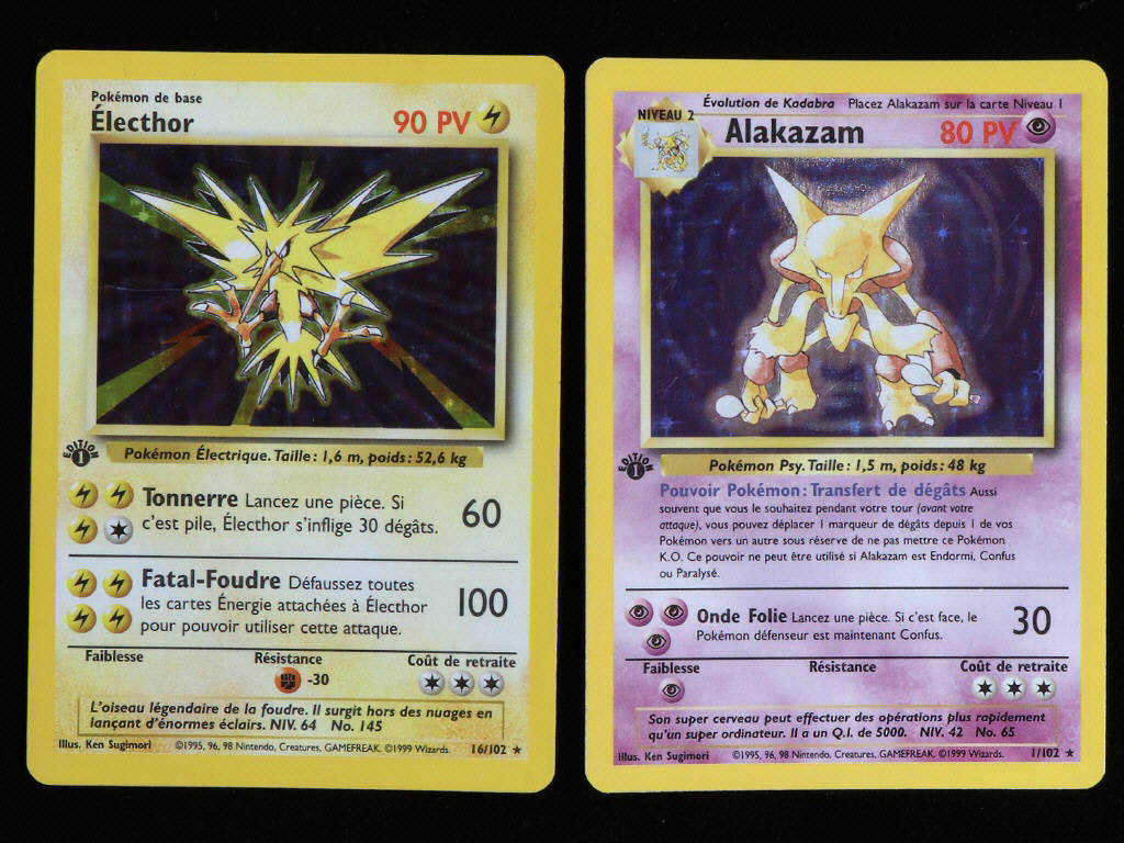 Lot 55 - POKEMON COMPANY (FRANCE) (2)