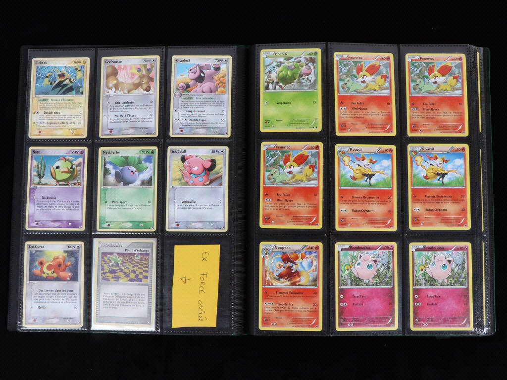 Lot 35 - POKEMON COMPANY (FRANCE) (1)