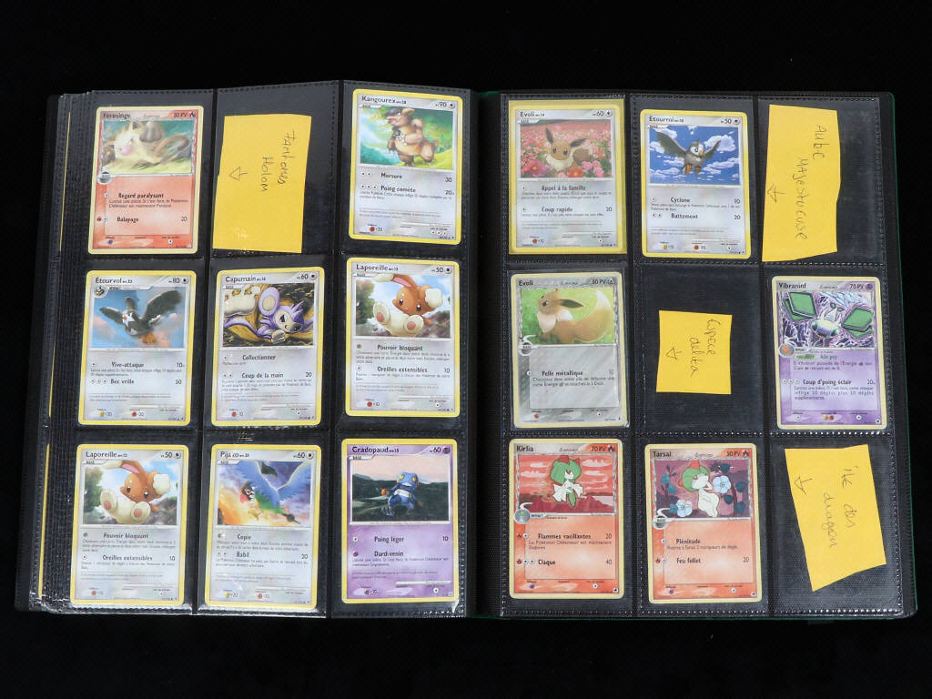 Lot 35 - POKEMON COMPANY (FRANCE) (1)