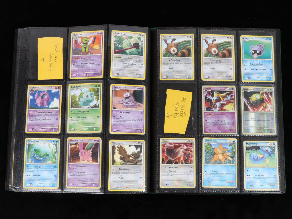 Lot 35 - POKEMON COMPANY (FRANCE) (1)