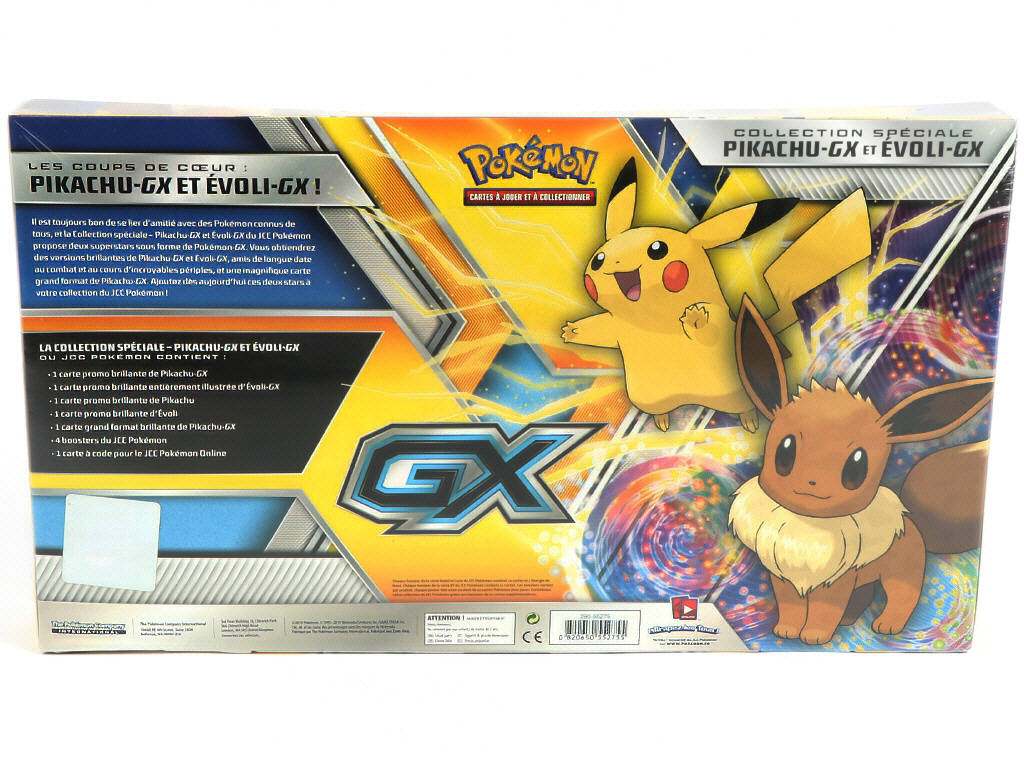 Lot 25 - POKEMON COMPANY (FRANCE) (1)