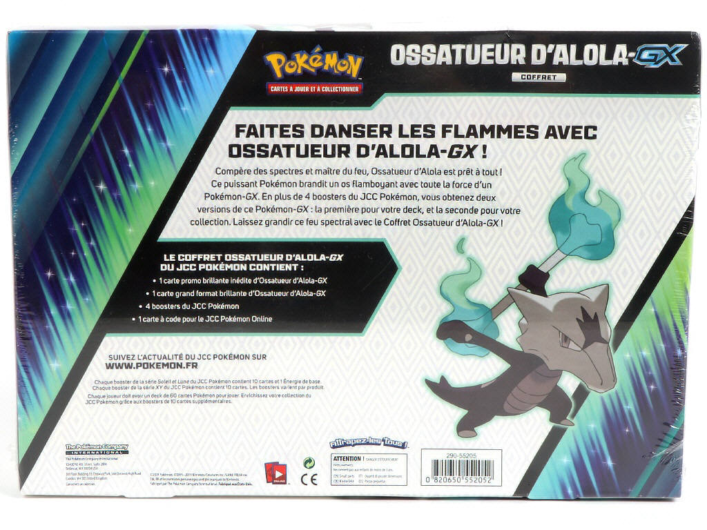 Lot 22 - POKEMON COMPANY (FRANCE) (1)