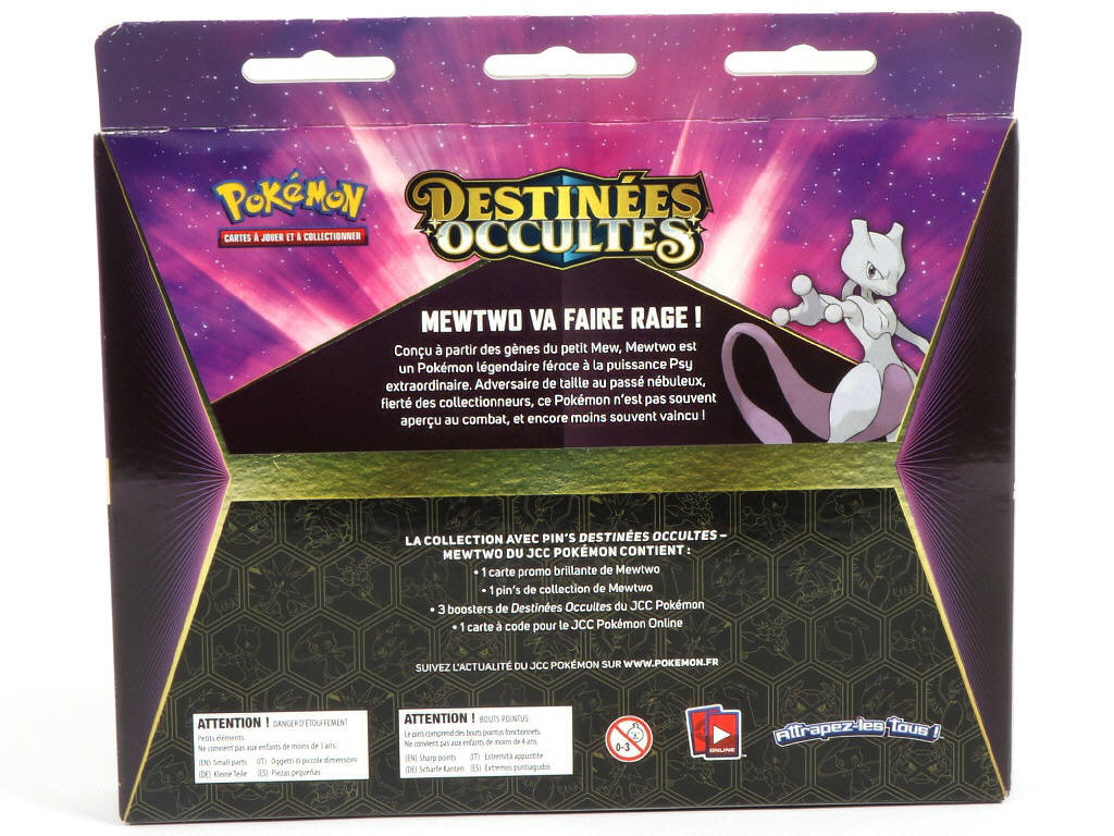 Lot 8 - POKEMON COMPANY (FRANCE) (1)