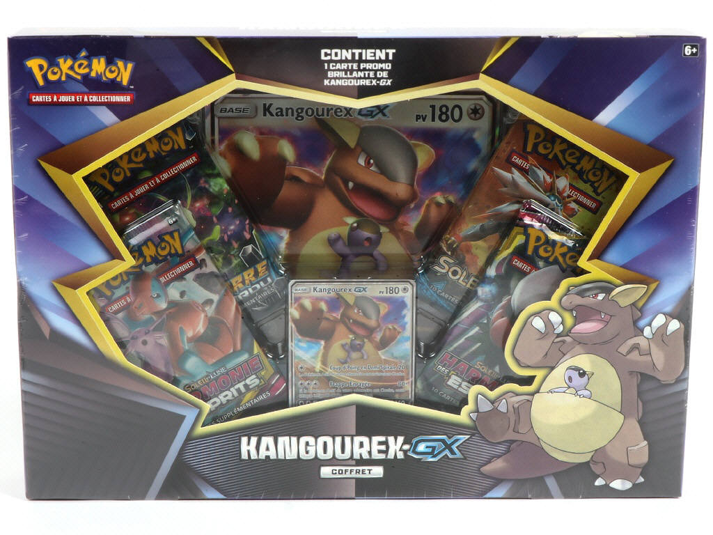 Lot 19 - POKEMON COMPANY (FRANCE) (1)