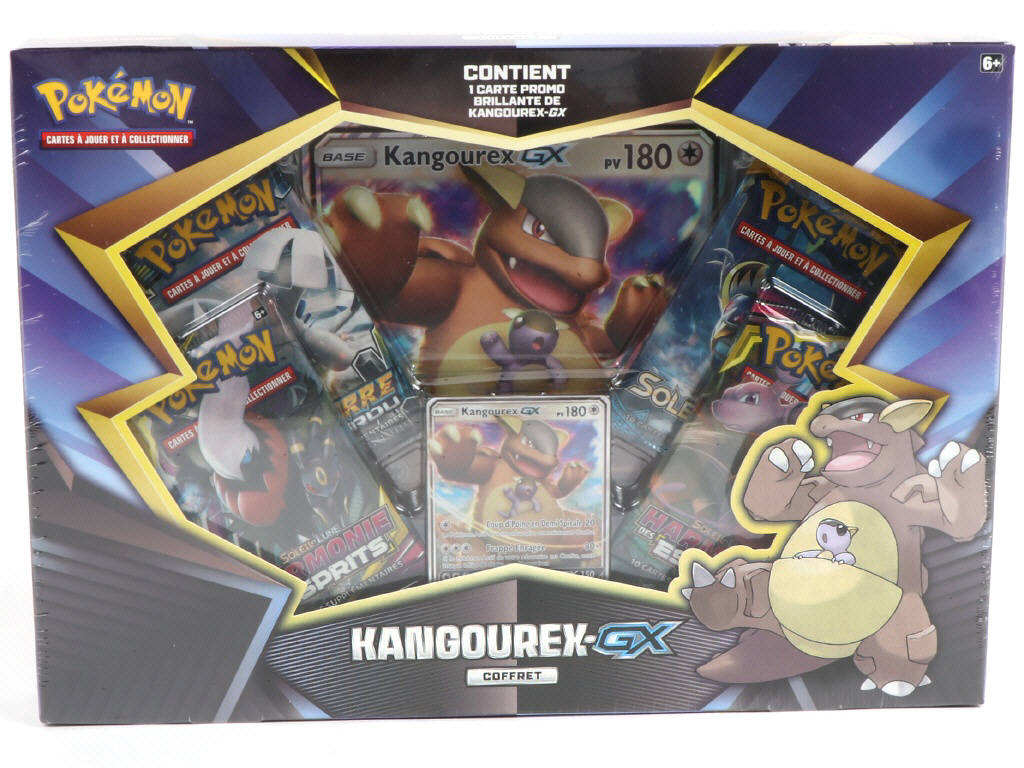 Lot 18 - POKEMON COMPANY (FRANCE) (1)