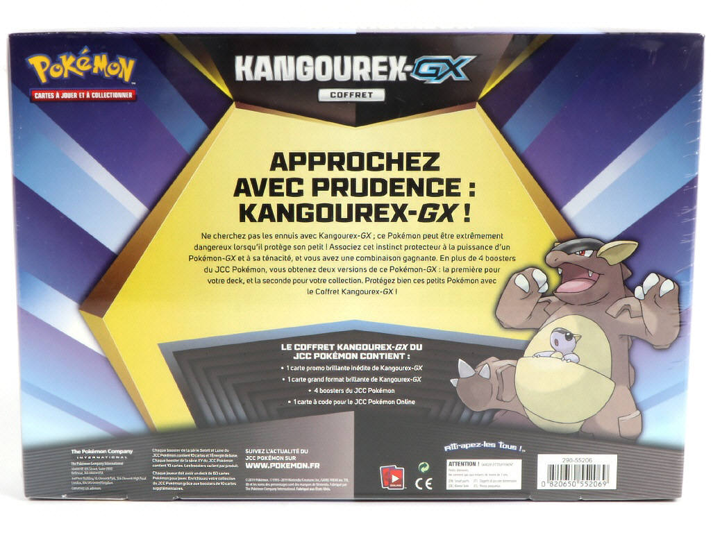 Lot 18 - POKEMON COMPANY (FRANCE) (1)