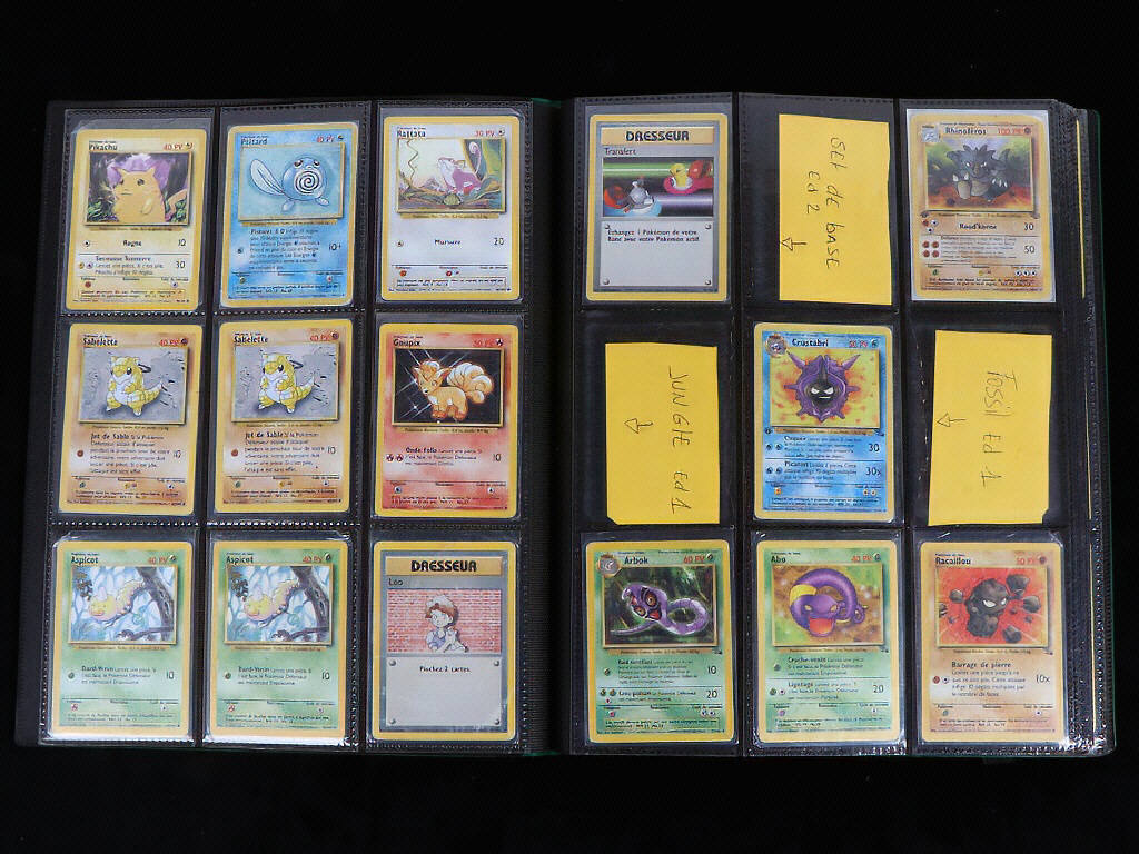 Lot 45 - POKEMON COMPANY (FRANCE) (1)
