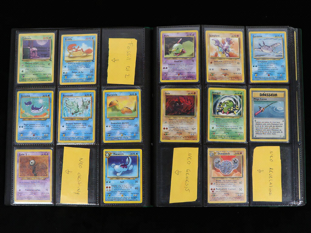 Lot 45 - POKEMON COMPANY (FRANCE) (1)