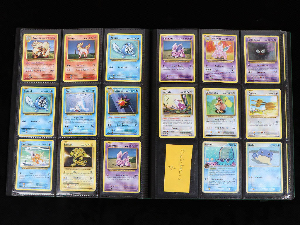 Lot 45 - POKEMON COMPANY (FRANCE) (1)