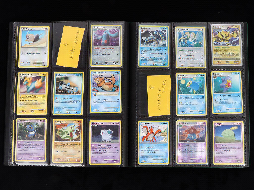 Lot 45 - POKEMON COMPANY (FRANCE) (1)