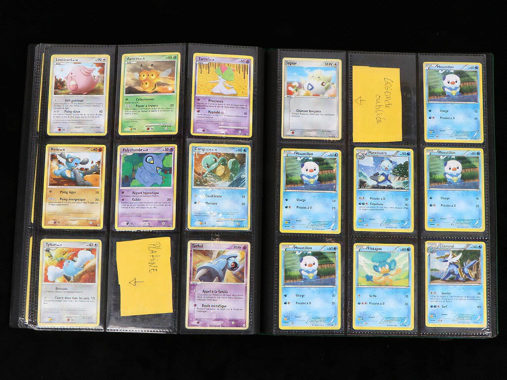 Lot 45 - POKEMON COMPANY (FRANCE) (1)