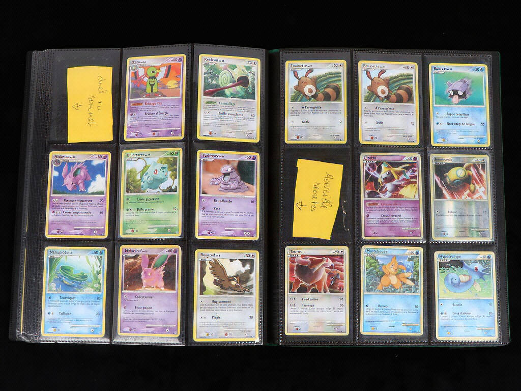 Lot 45 - POKEMON COMPANY (FRANCE) (1)