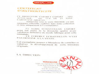 Lot 247 - MINIALUXE (FRANCE) (1)