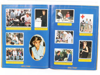 Lot 242 - PANINI (ITALIE) (1)