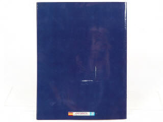 Lot 242 - PANINI (ITALIE) (1)