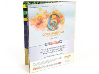 Lot 29 - PANINI (ITALIE) (1)