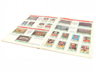 Lot 31 - PANINI (ITALIE) (1)