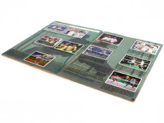 Lot 212 - PANINI (ITALIE) (21)