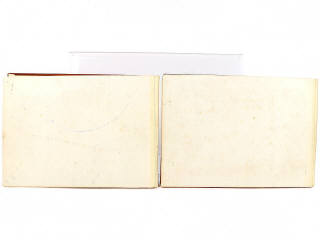 Lot 295 - DIVERS (2)