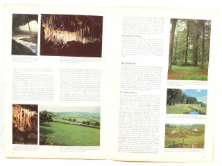 Lot 298 - DIVERS (5)