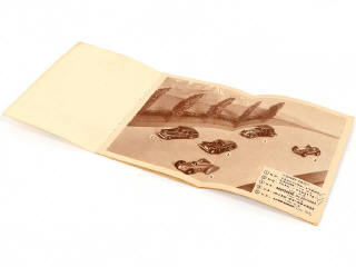 Lot 46 - DINKY TOYS (FRANCE) (1)