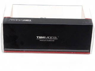 Lot 92 - TSM MODELS (CHINE) (1)