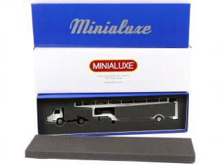 Lot 201 - MINIALUXE (FRANCE) (1)