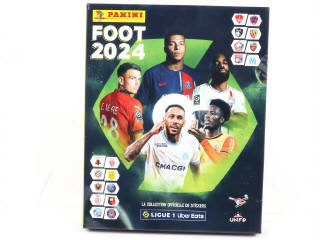 Lot 30 - PANINI (ITALIE) (1)