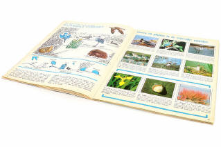 Lot 222 - PANINI (ITALIE) (6)