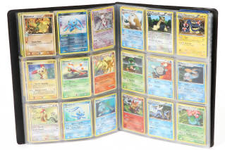 Lot 60 - POKEMON COMPANY (FRANCE) (2)