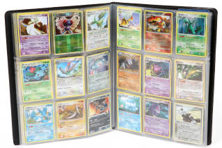 Lot 60 - POKEMON COMPANY (FRANCE) (2)