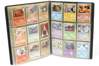 Lot 60 - POKEMON COMPANY (FRANCE) (2)