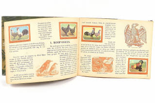 Lot 99 - DIVERS (3)