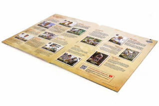 Lot 77 - PANINI (ITALIE) (1)