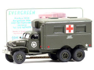 Lot 512 - EVERGREEEN (PAYS-BAS) (1)