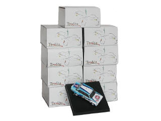 Lot 620 - TROFEU (PORTUGAL) (9)