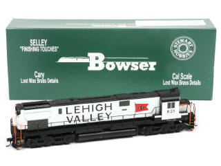 Lot 118 - BOWSER 'HO' (USA) (1)