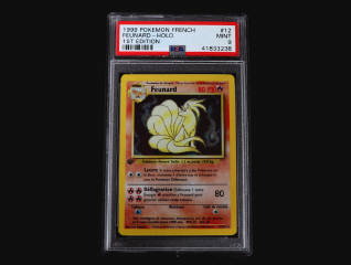 Lot 8 - POKEMON COMPANY (USA) (1)