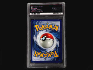 Lot 10 - POKEMON COMPANY (USA) (1)