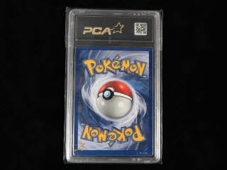 Lot 156 - POKEMON COMPANY (USA) (1)