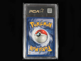 Lot 38 - POKEMON COMPANY (USA) (1)